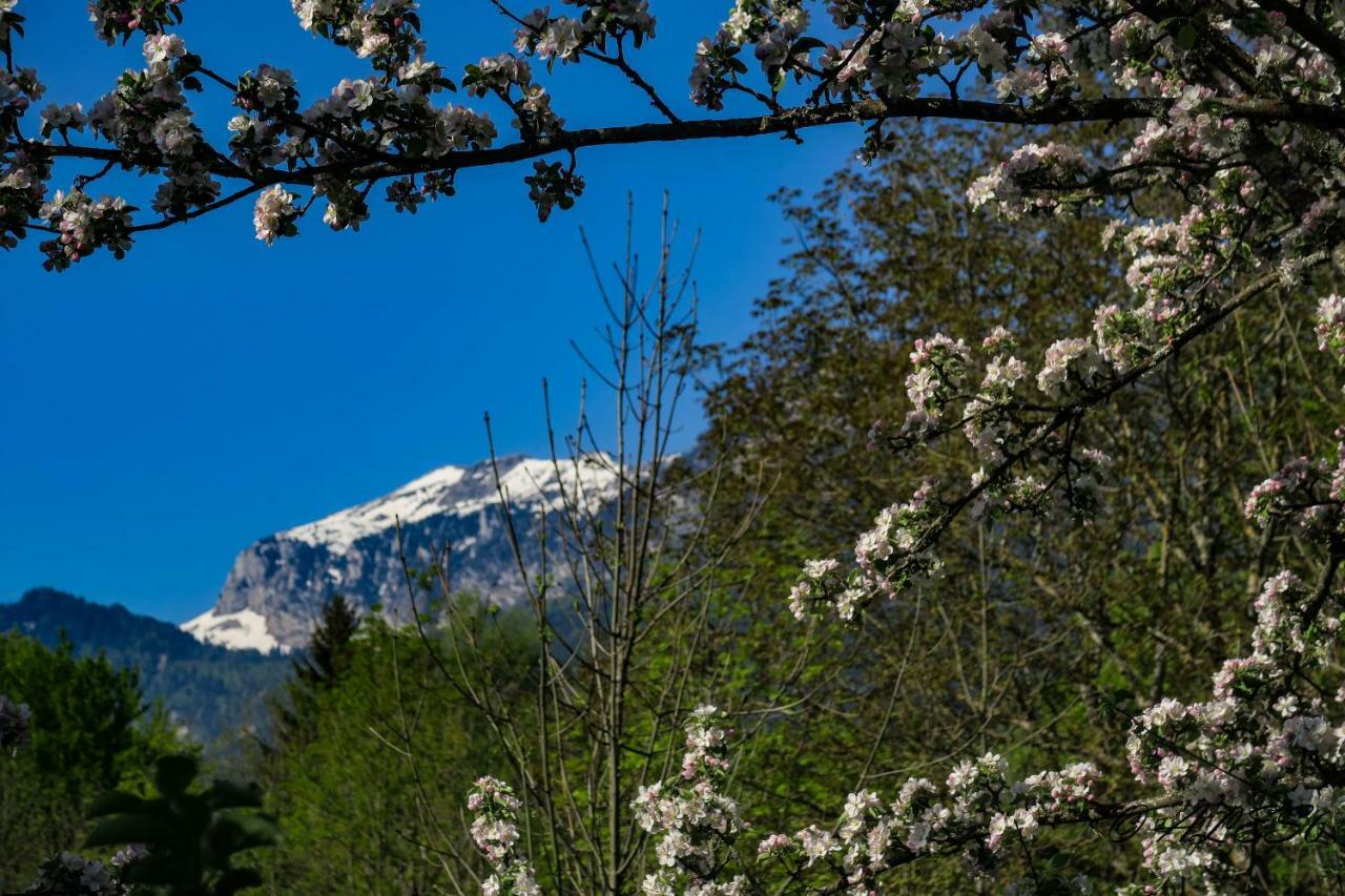 Вілла La Fraceline Saint-Pierre-d'Entremont  Екстер'єр фото